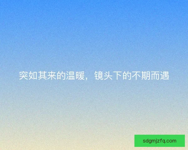 突如其来的温暖，镜头下的不期而遇